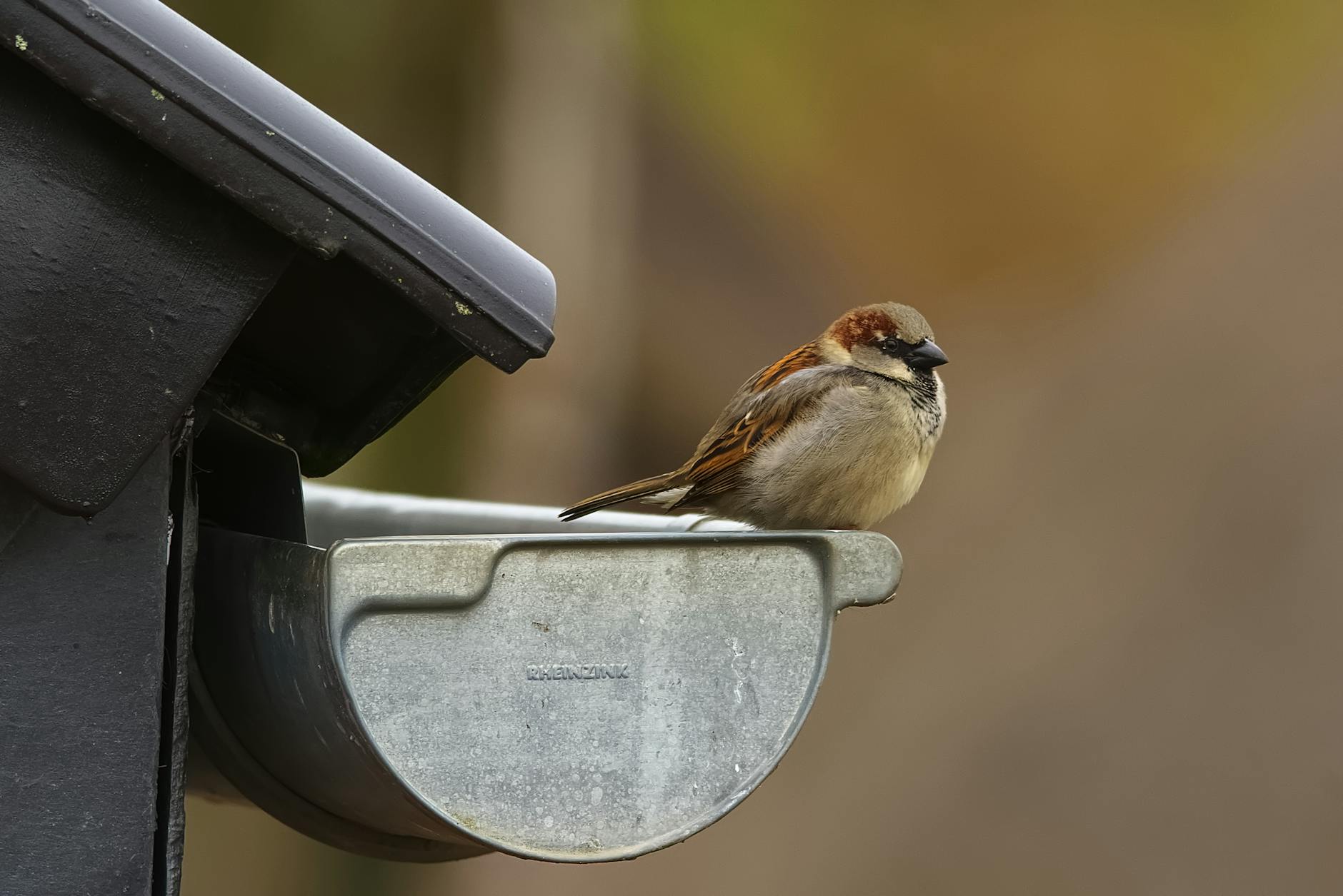 How Proper Gutters Protect Your Florida Home's Foundation
